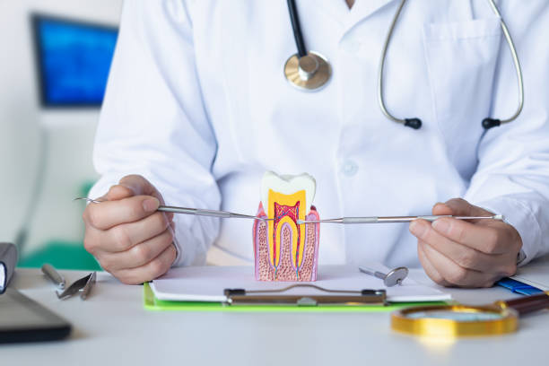 Best Emergency Root Canal Treatment in Alvord, TX